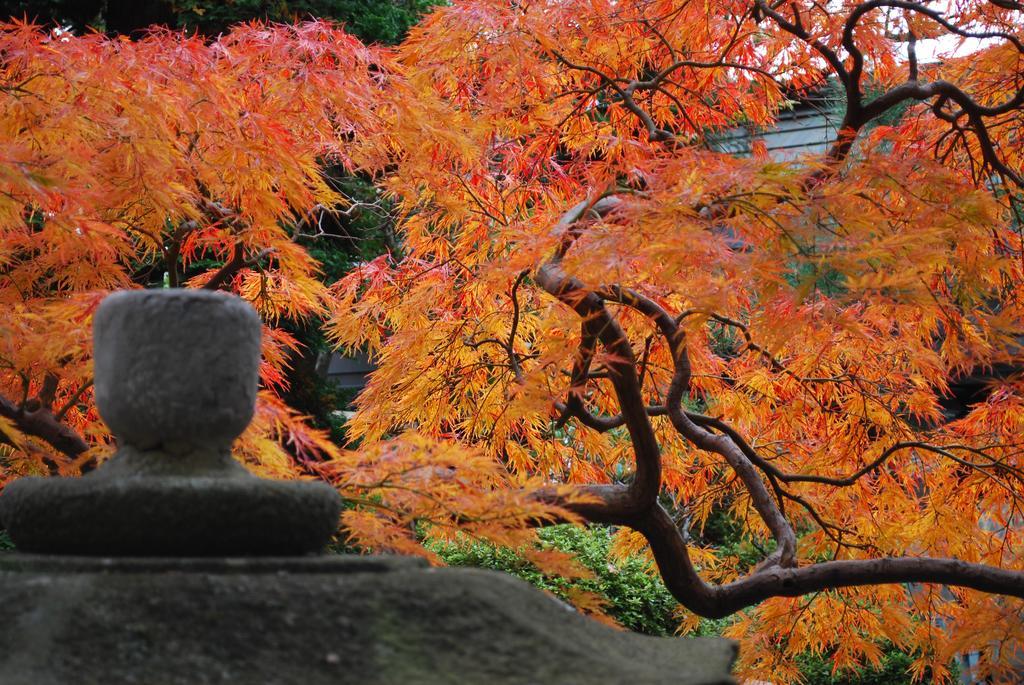 Nishiki-No-Yu Jimotoya Hotel Matsumoto Bagian luar foto